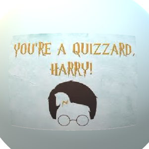 Yer A Quizard, Harry!